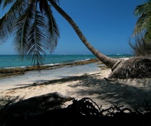 Jhonny Cay San Andrés. Fuente: Panoramio Foto: David Pivetti